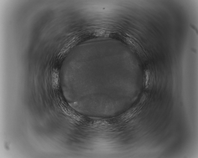 X0000100311154200806261156