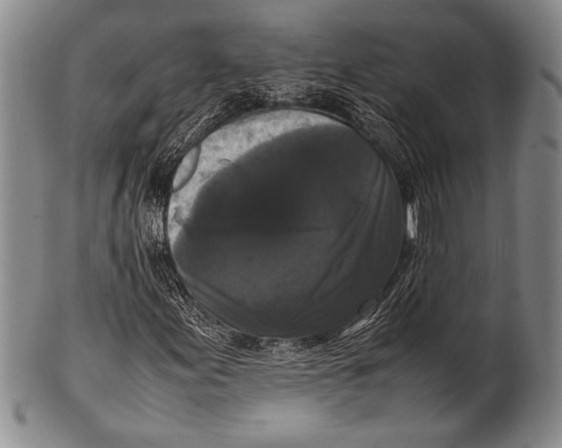 X0000100311155200806261156