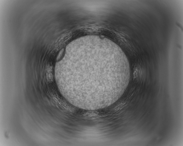 X0000100311156200806261156