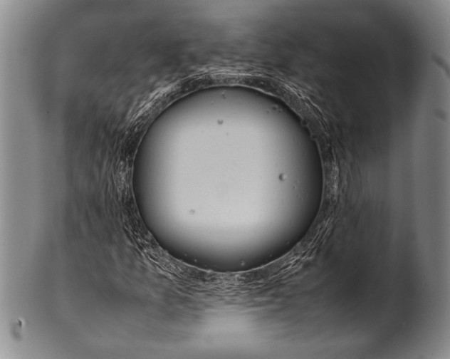 X0000100311157200806261156