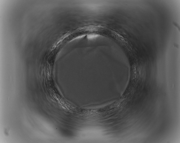 X0000100311158200806261156