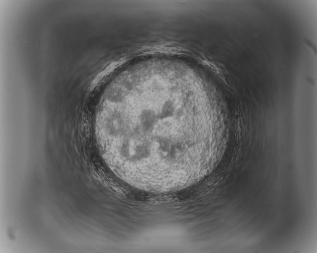 X0000100311159200806261156