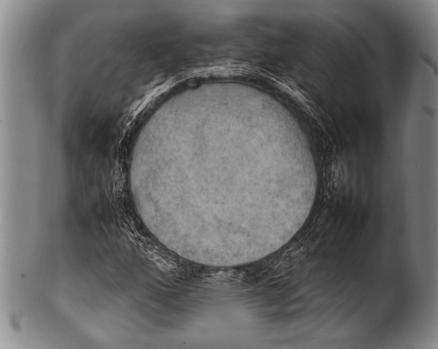 X0000100311160200806261156