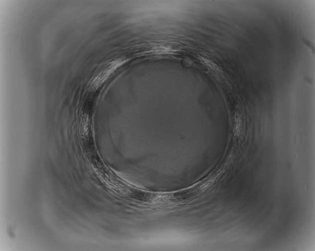 X0000100311161200806261156