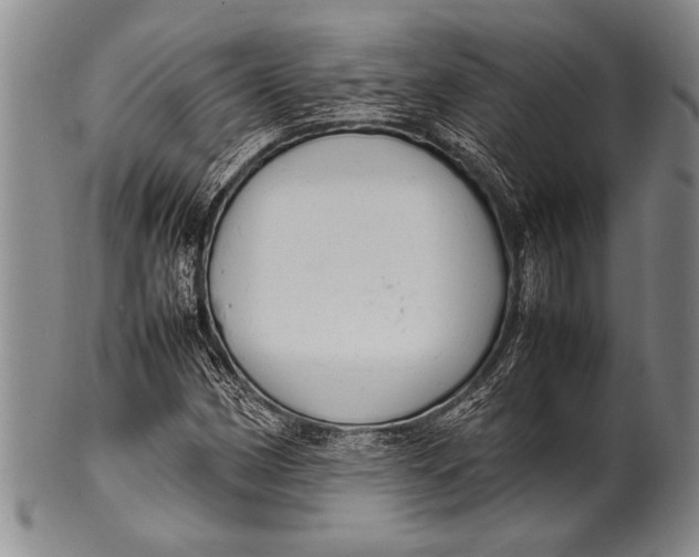 X0000100311162200806261155