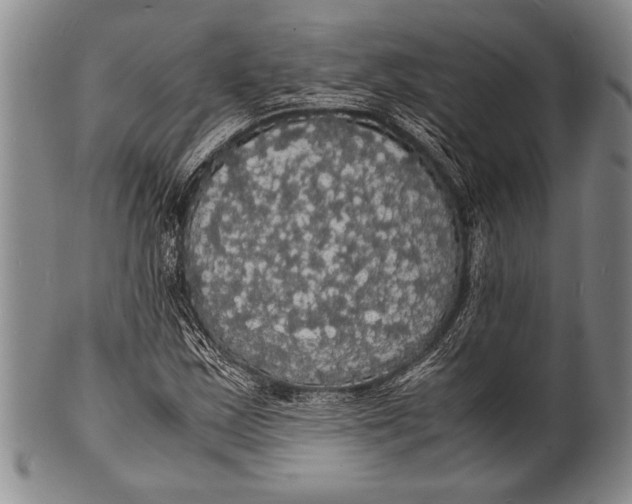 X0000100311163200806261155