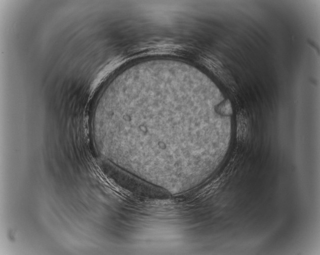 X0000100311164200806261155