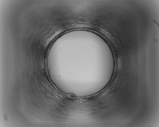 X0000100311165200806261155