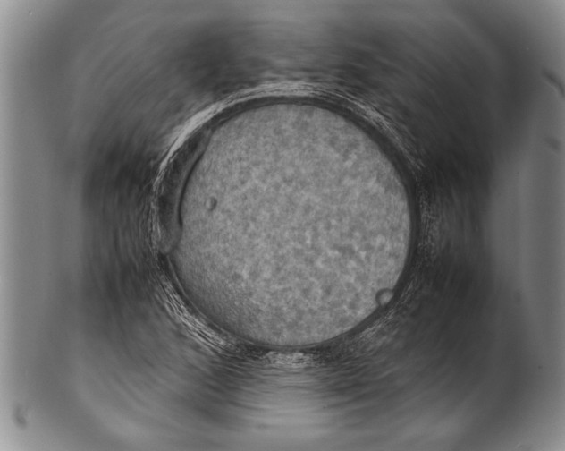 X0000100311168200806261155