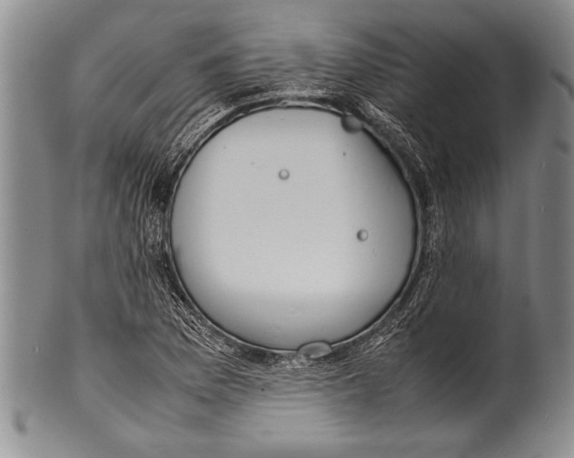 X0000100311169200806261155