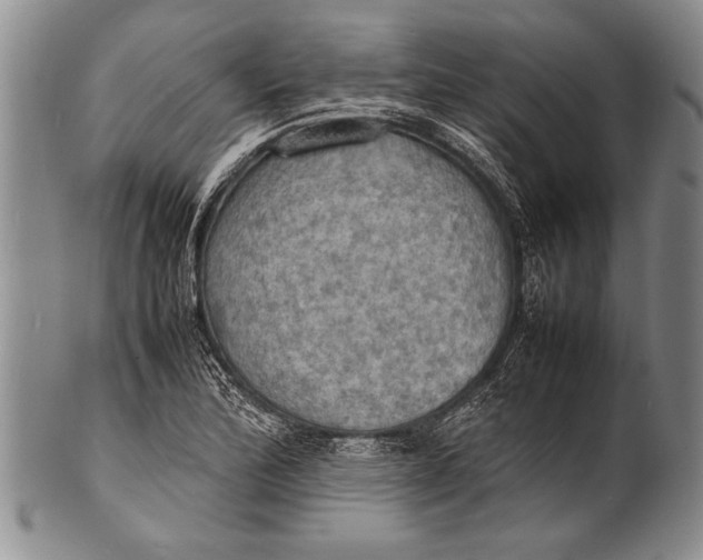 X0000100311172200806261155