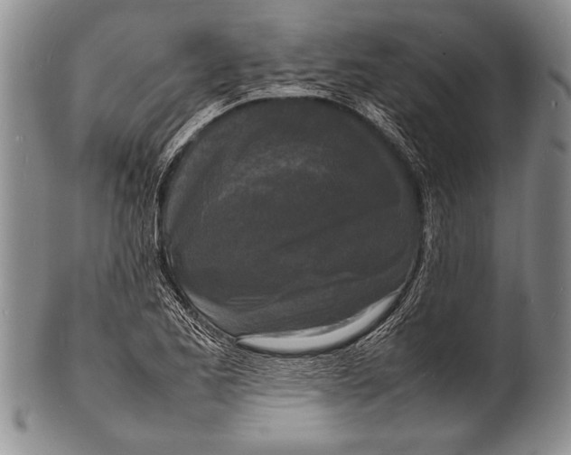 X0000100311173200806261155