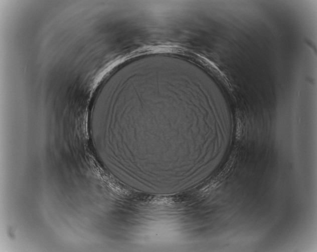 X0000100311174200806261155