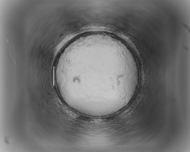 X0000100311175200806261155