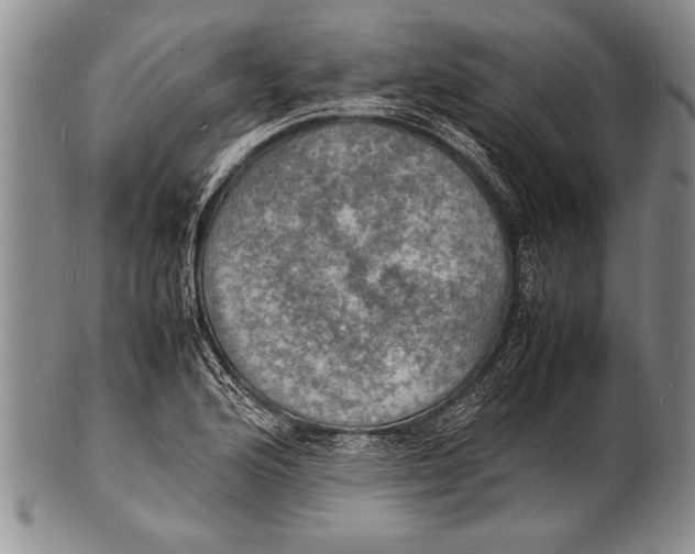 X0000100311176200806261155