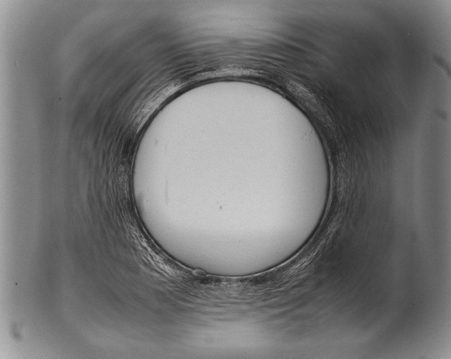 X0000100311177200806261155