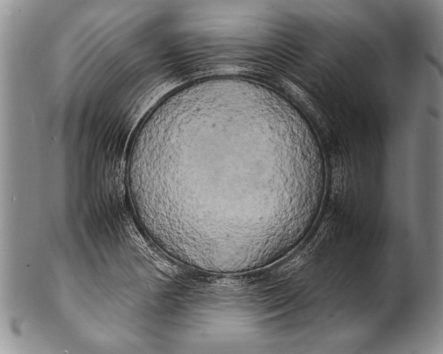 X0000100311178200806261155