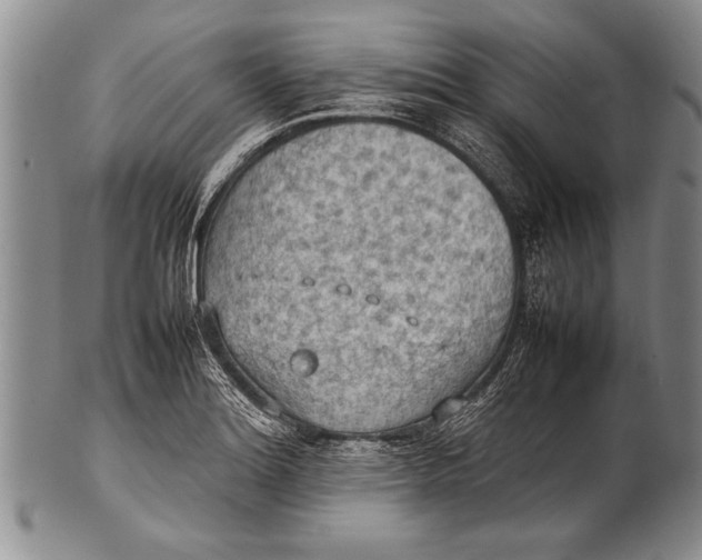 X0000100311180200806261155