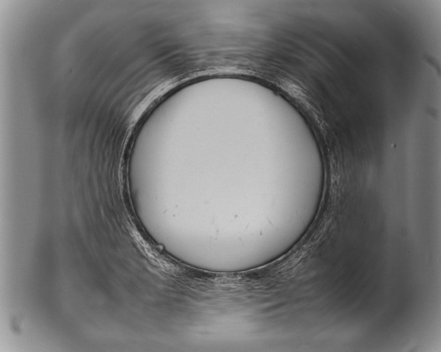 X0000100311181200806261155