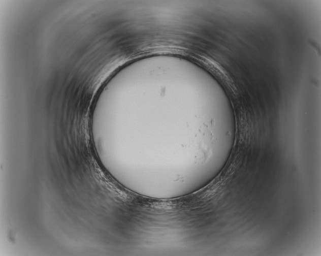 X0000100311182200806261155