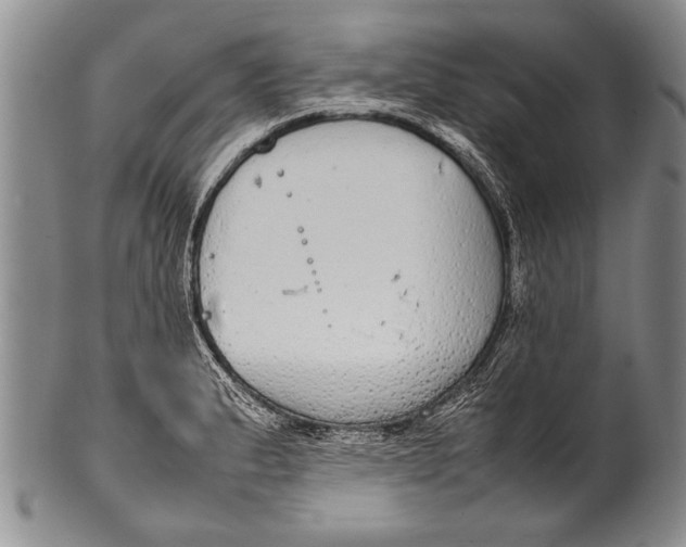 X0000100311183200806261155