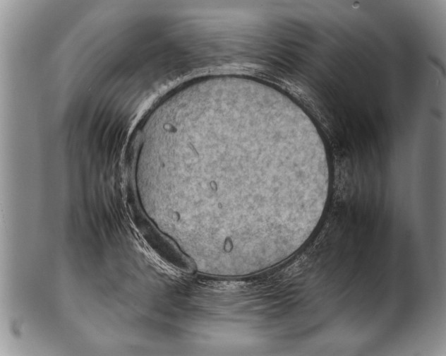 X0000100311184200806261155