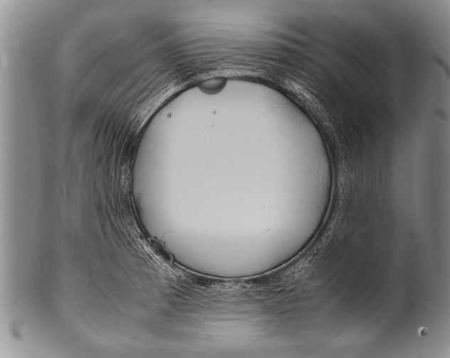 X0000100311185200806261155