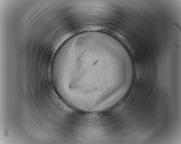 X0000100311186200806261155