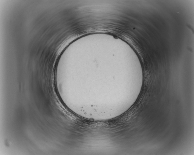 X0000100311187200806261155