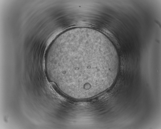 X0000100311188200806261155