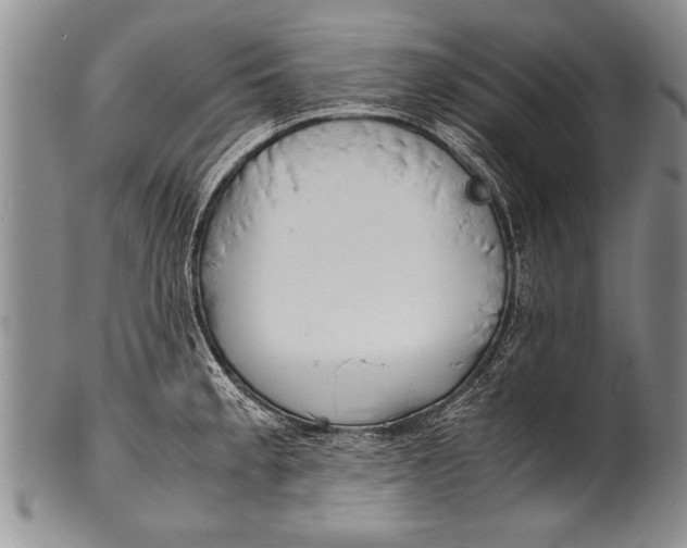 X0000100311189200806261155