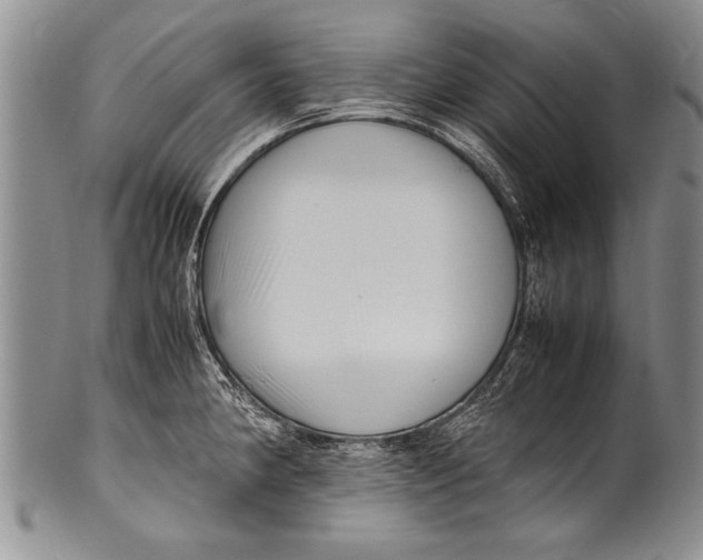 X0000100311190200806261155