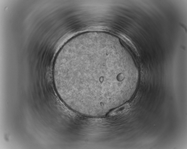 X0000100311192200806261155