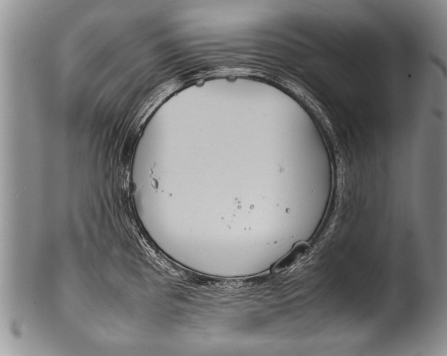 X0000100311193200806261155