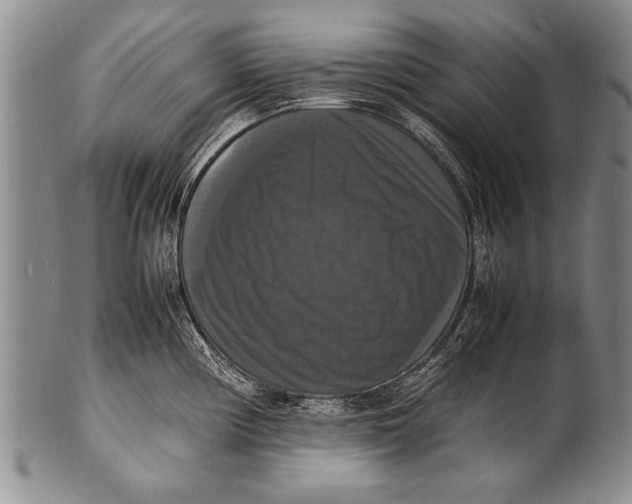 X0000100311194200806261155