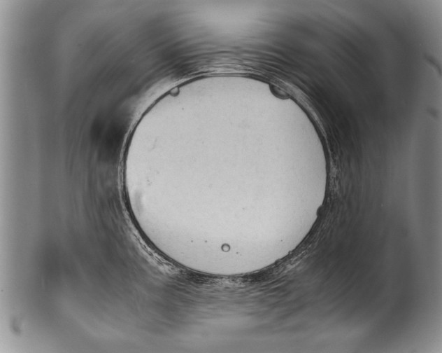 X0000100311195200806261155