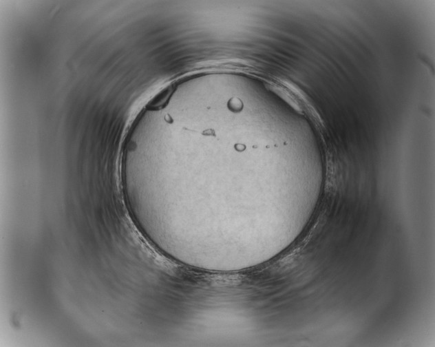 X0000100311196200806261155