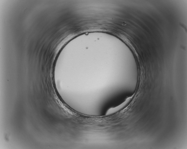 X0000100311197200806261155