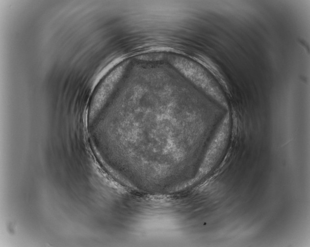 X0000100311198200806261155