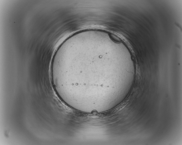 X0000100311199200806261155