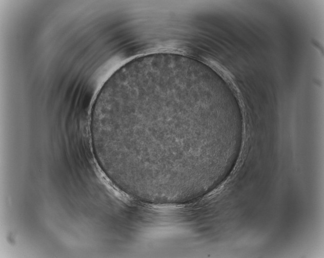 X0000100311200200806261155