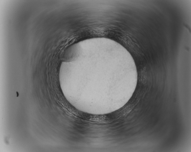 X0000100311201200806261154