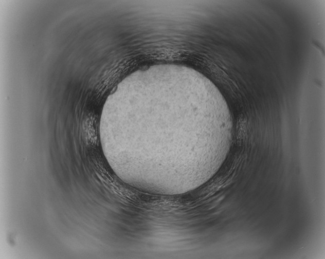 X0000100311202200806261154