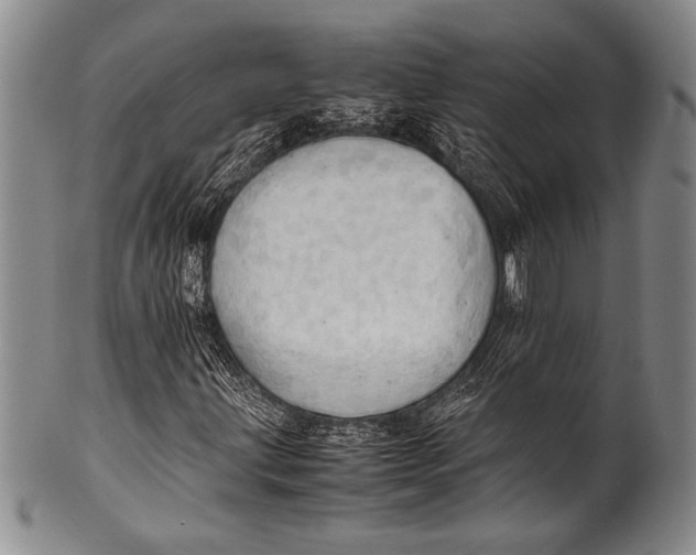 X0000100311203200806261154