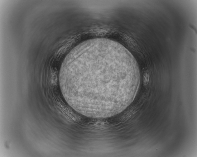 X0000100311204200806261154