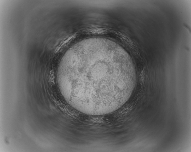 X0000100311205200806261154