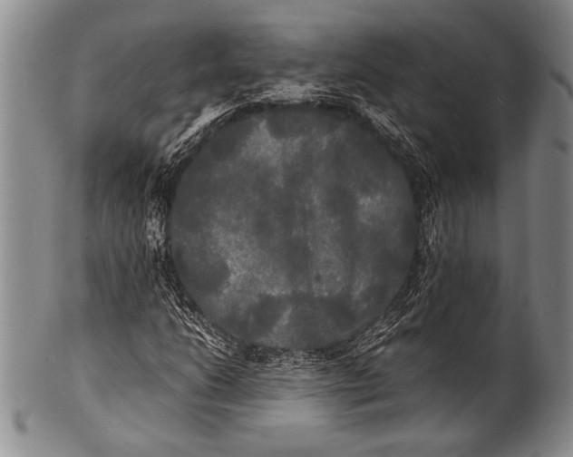 X0000100311206200806261154