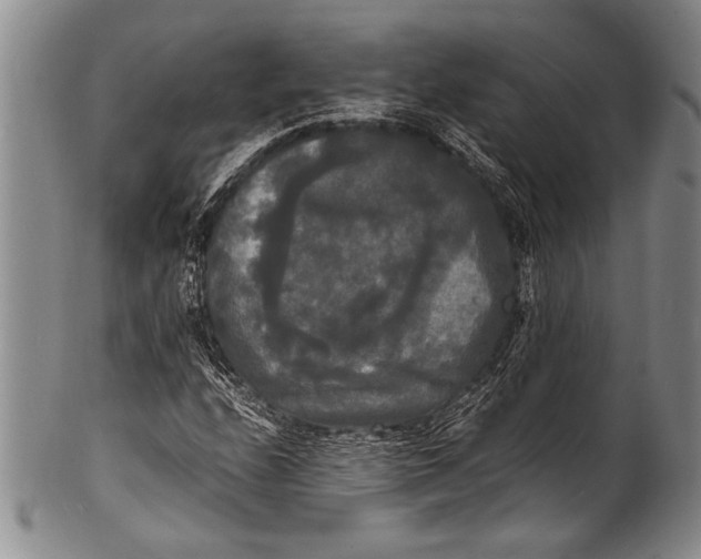 X0000100311208200806261154