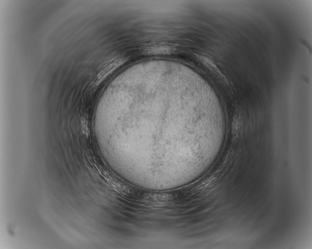 X0000100311209200806261154