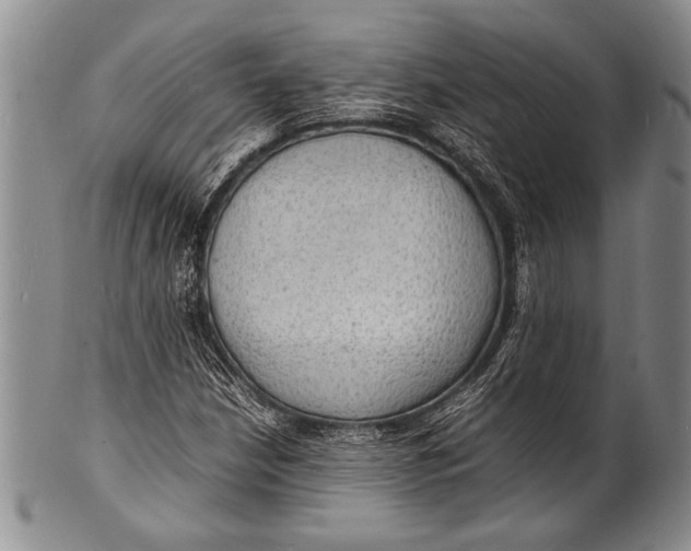 X0000100311210200806261154